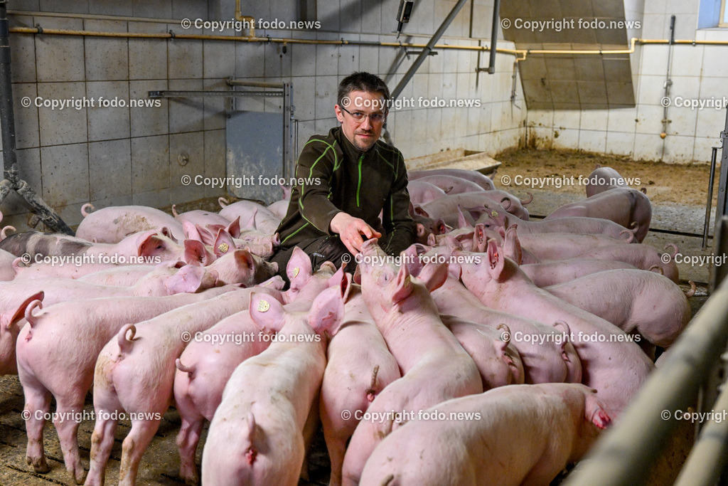 Landwirtschaft_ Schweinebauer_ 07.02.2024-6 | 07.02.2024, Obernberg am Inn, AUT, Landwirtschaft, Schweinebauer, im Bild Thomas Reisecker (Schweinebauer)
