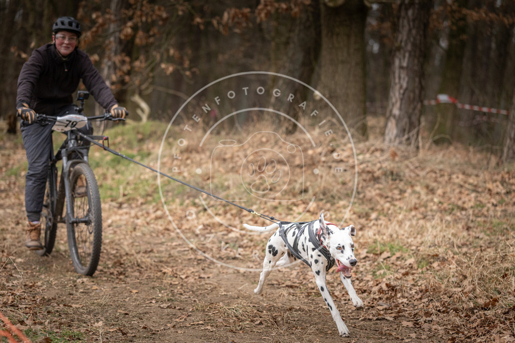 Pfotenfotografie_DV3A1968 | Hundefotografie, Tierfotograf, Pfotenfotografie, Fotoshooting Hund, Hunde Portrait, Hundesport, Hundeportraits, Heideshooting, Hunde, Sportfotograf, Hundefotograf, Turnierhundsport, THS,  - Realisiert mit Pictrs.com