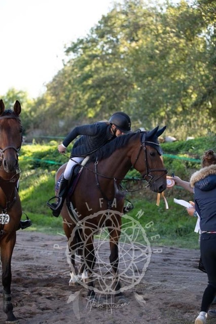 2B4A0684 | pixelfaenger - Realisiert mit Pictrs.com