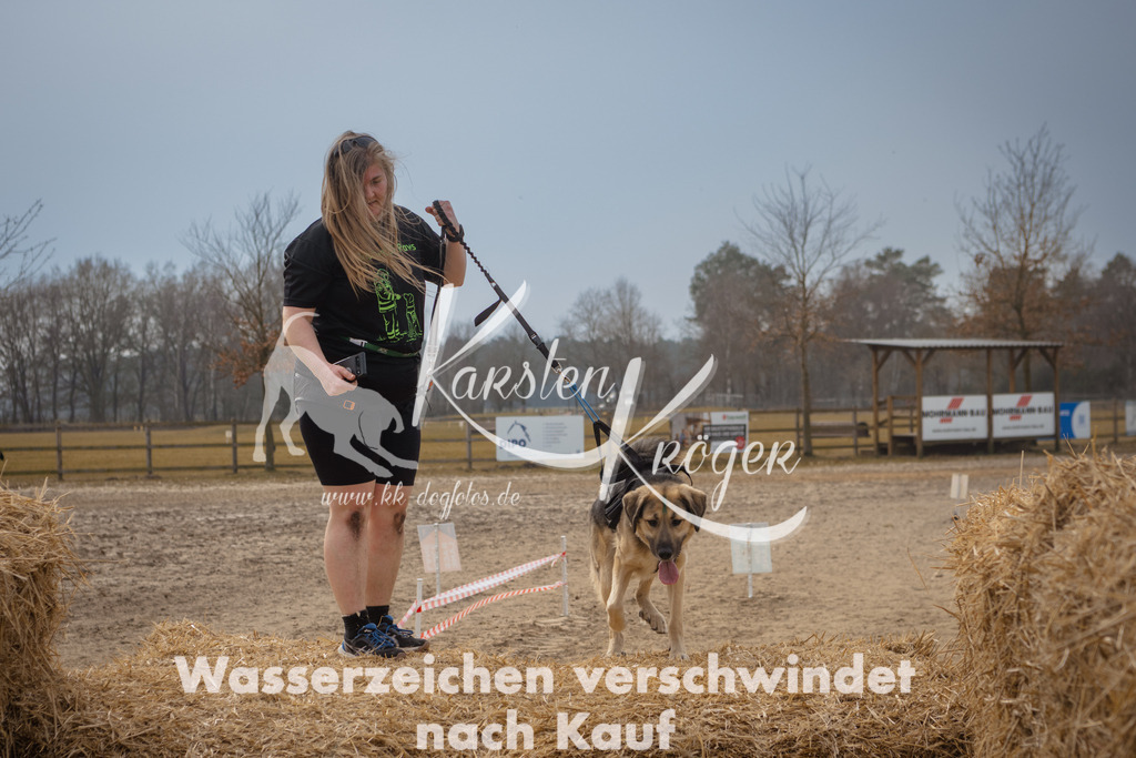 1225_ZZ95734 | kk-dogfotos