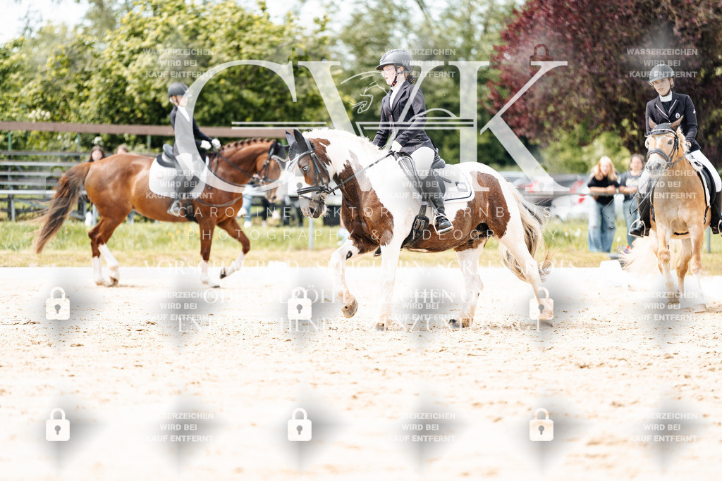 CK902265 | Turnierfotografie Pferdefotografie Trier Rheinland-Pfalz Pferdesport Reitsport Tierfotografie Sportfotografie Pferdevideo Pferdevideografie Equestrianvideography equestrianphotography  - Realisiert mit Pictrs.com