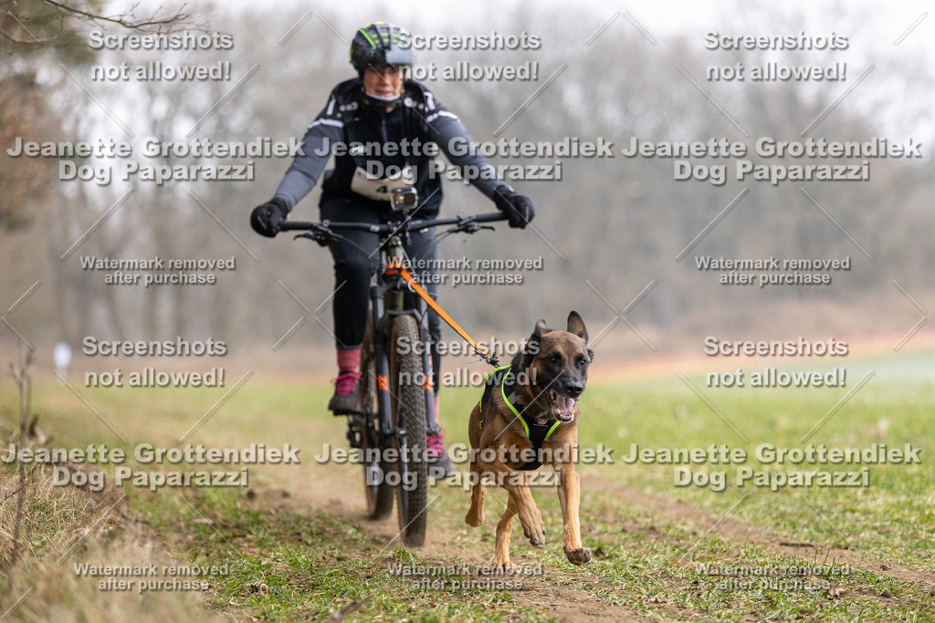 Dog Paparazzi - Plate 2026-11 | Dog Paparazzi Jeanette Grottendiek Fotografie & Videografie - Realisiert mit Pictrs.com