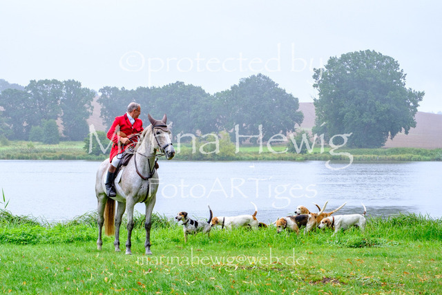 Jagd Kletkamp 26-9497_MarinaHewig | Fotografie, FotoArt, PferdesportArt, Pferdesportfotografie, Landschaftsfotografie, Reisefotografie, Reise, Pferde - Realisiert mit Pictrs.com