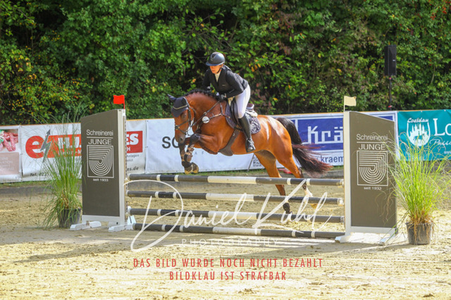 DKP40321 | Turniersportfotografie; Pferdefotografie; Dressurfotografie