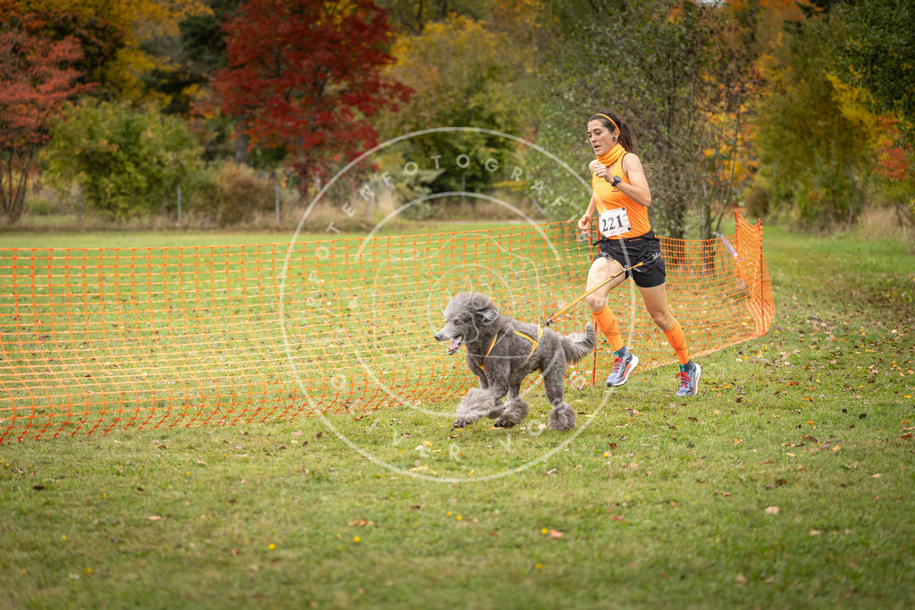 Pfotenfotografie_DV3A4814 | Hundefotografie, Tierfotograf, Pfotenfotografie, Fotoshooting Hund, Hunde Portrait, Hundesport, Hundeportraits, Heideshooting, Hunde, Sportfotograf, Hundefotograf, Turnierhundsport, THS,  - Realisiert mit Pictrs.com