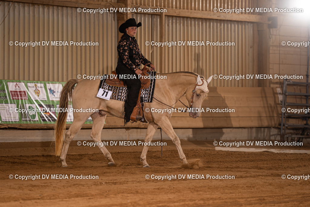 NID00411 | dv-media-shop - Realisiert mit Pictrs.com