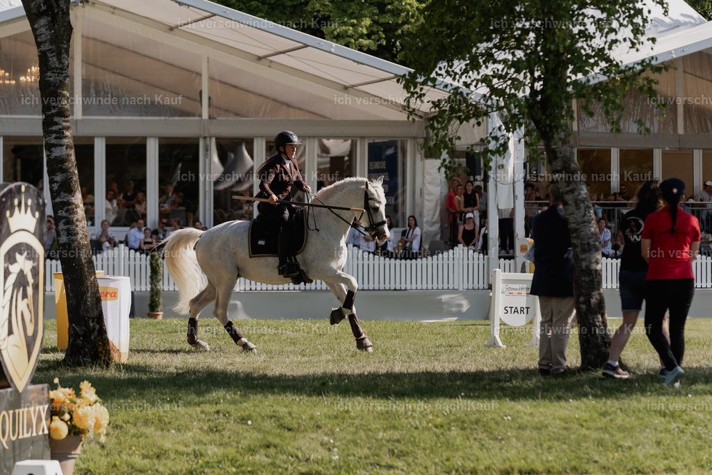 SIN00626 | Pferd International München 2025