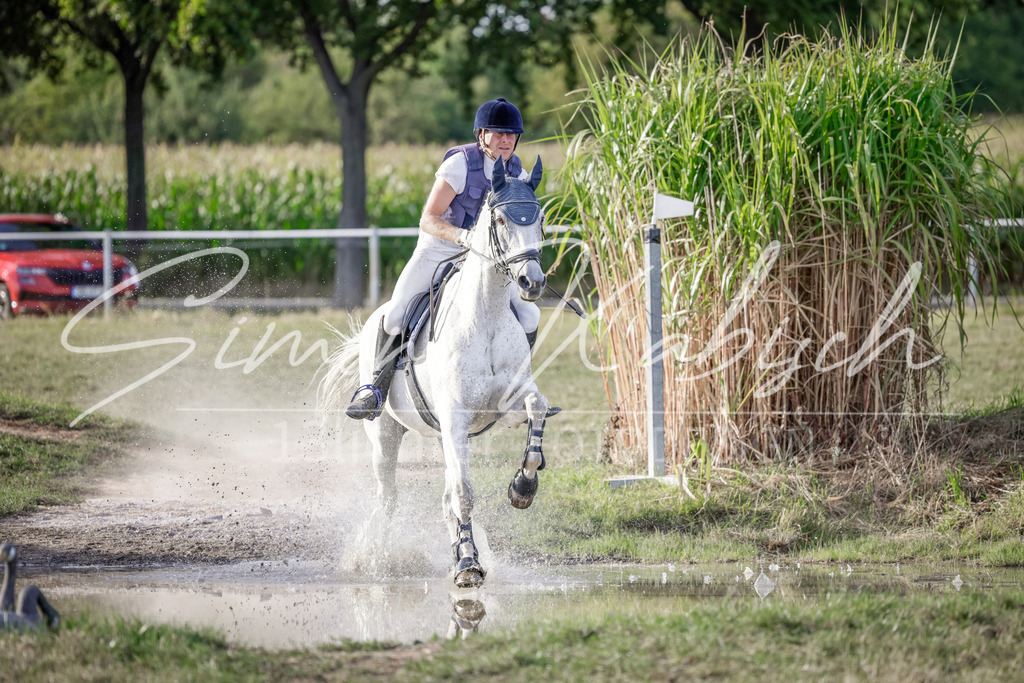 20250906-_3LI7737 | Tierfotografie Pferde, Hunde, Katzen, Haustiere.
Turnierfotografie Reitturniere, Reiten, Springreiten, Dressur in Hanau, dem Main-Kinzig-Kreis und dem Rhein-Main- Gebiet um Frankfurt