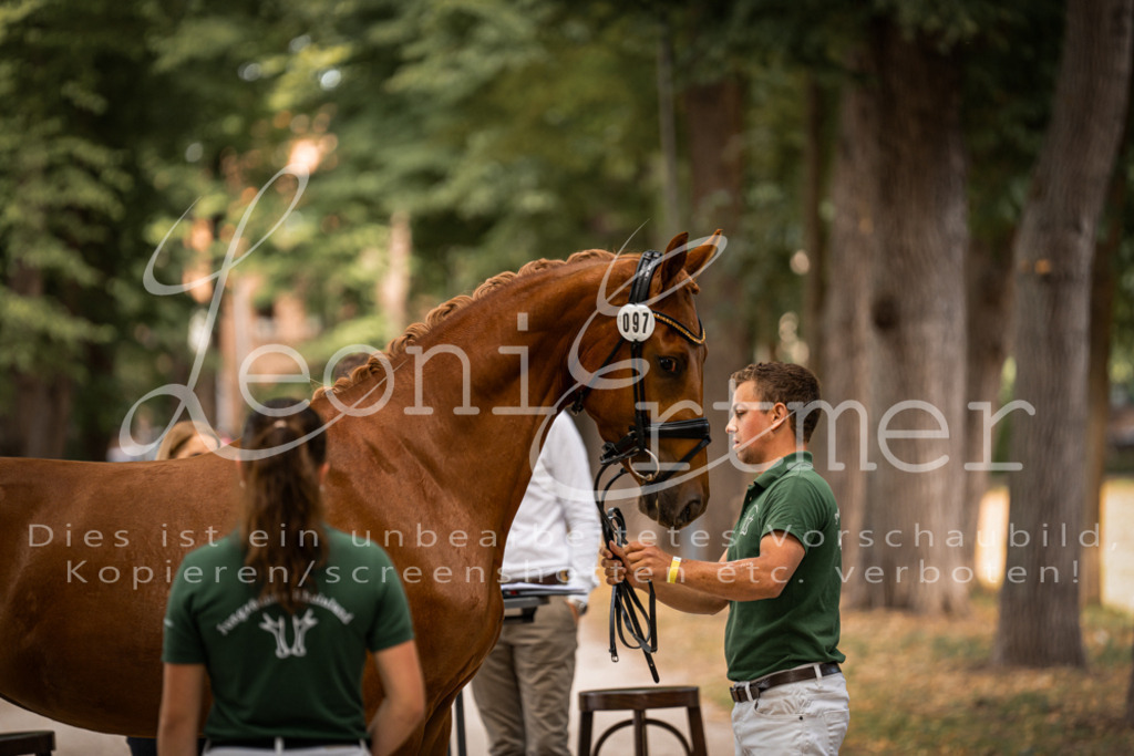 FrPfM00072 | Leoni Ertmer Photography - Realisiert mit Pictrs.com