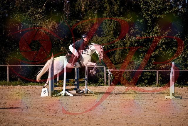 2026_10_03_Siefer-Hof_154007_Z81_56079673 | Professionelle Reitsport-, Turnier- und Eventfotografie von Robert Broda. Galerien mit ausgewählten und bearbeiteten Bildern direkt online ansehen und bestellen.