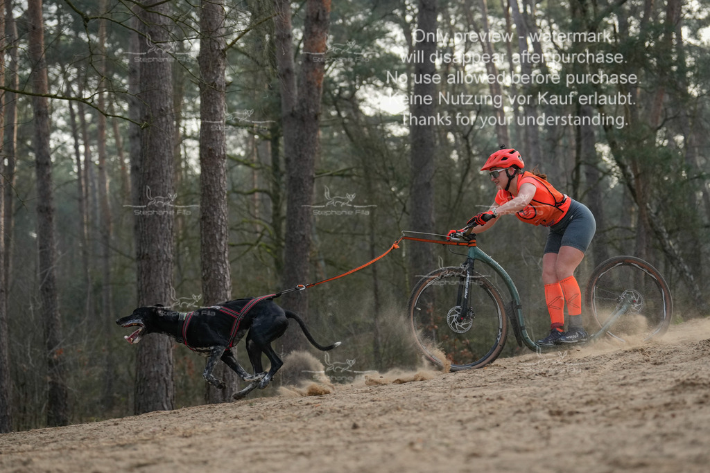 Scooter1-92 | stephaniefillaphotographie - Realisiert mit Pictrs.com