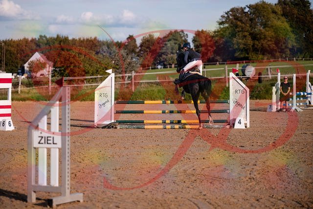 2026_10_03_Siefer-Hof_171540_Z81_13068445 | Professionelle Reitsport-, Turnier- und Eventfotografie von Robert Broda. Galerien mit ausgewählten und bearbeiteten Bildern direkt online ansehen und bestellen.