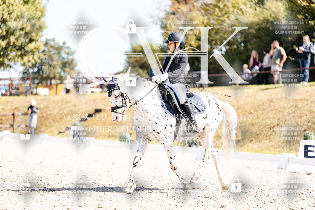 CK904179 | Turnierfotografie Pferdefotografie Trier Rheinland-Pfalz Pferdesport Reitsport Tierfotografie Sportfotografie Pferdevideo Pferdevideografie Equestrianvideography equestrianphotography  - Realisiert mit Pictrs.com