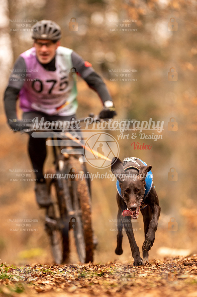 AKM_ST_2023_SAM_Bike-60 | PayLife