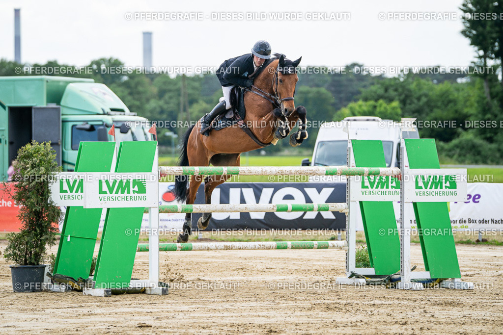 DSC06784 | Pferdegrafie