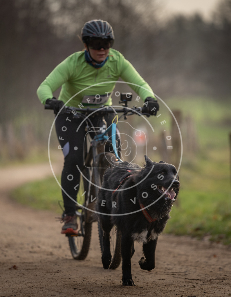 Pfotenfotografie_DV3A1949 | Hundefotografie, Tierfotograf, Pfotenfotografie, Fotoshooting Hund, Hunde Portrait, Hundesport, Hundeportraits, Heideshooting, Hunde, Sportfotograf, Hundefotograf, Turnierhundsport, THS,  - Realisiert mit Pictrs.com
