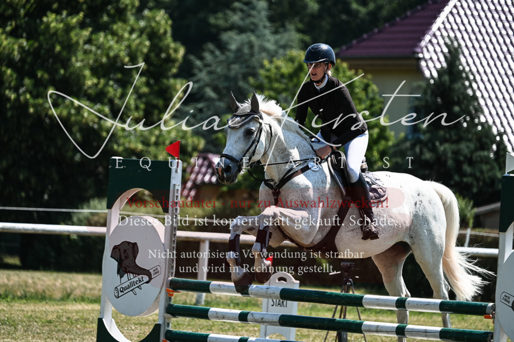 DSC_0251 | Pferde- und Turnierfotografie in Westsachsen. Pferdeportraits, Auftragszeichnungen und intuitive Kunst.