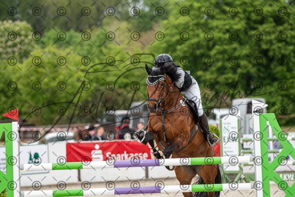 KPT_9916 | andre_photographic