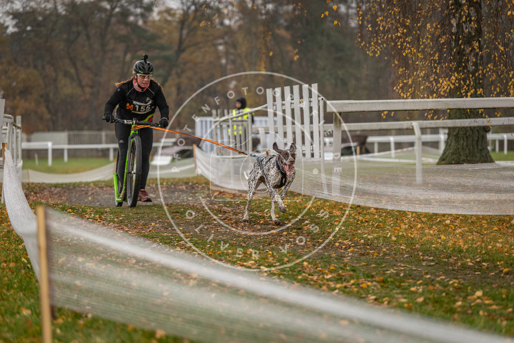CaniXpix_DV3A7955 | Hundefotografie, Tierfotograf, Pfotenfotografie, Fotoshooting Hund, Hunde Portrait, Hundesport, Hundeportraits, Heideshooting, Hunde, Sportfotograf, Hundefotograf, Turnierhundsport, THS,  - Realisiert mit Pictrs.com