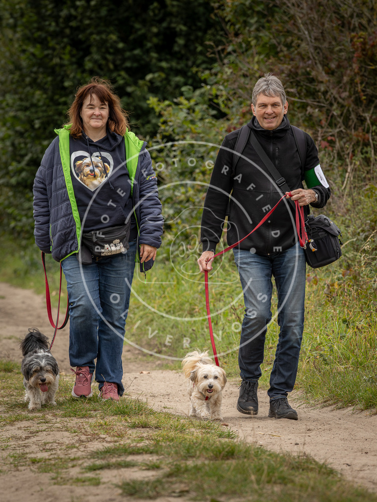 Pfotenfotografie_DV3A8594 | Hundefotografie, Tierfotograf, Pfotenfotografie, Fotoshooting Hund, Hunde Portrait, Hundesport, Hundeportraits, Heideshooting, Hunde, Sportfotograf, Hundefotograf, Turnierhundsport, THS,  - Realisiert mit Pictrs.com