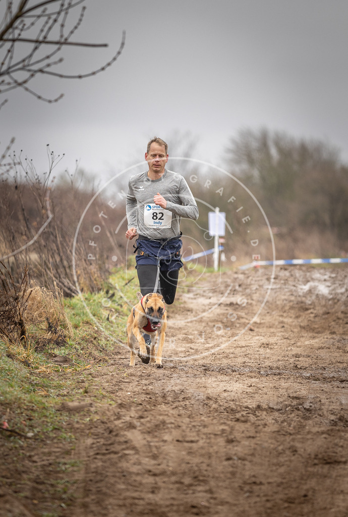 DV3A9859 | Hundefotografie, Tierfotograf, Pfotenfotografie, Fotoshooting Hund, Hunde Portrait, Hundesport, Hundeportraits, Heideshooting, Hunde, Sportfotograf, Hundefotograf, Turnierhundsport, THS,  - Realisiert mit Pictrs.com