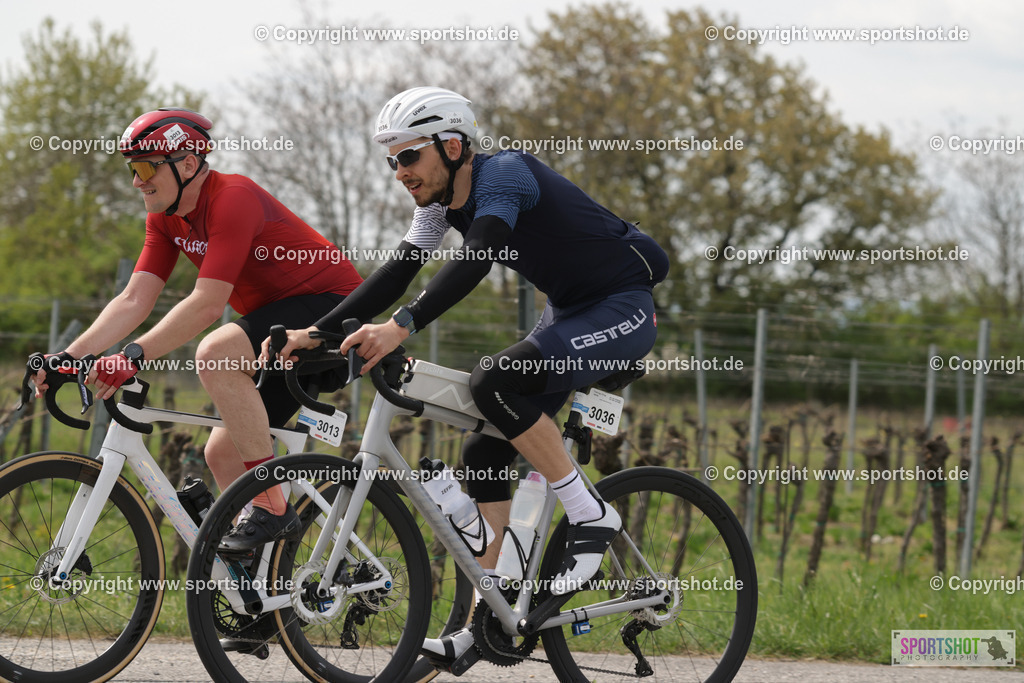 368A4763 | Neusiedlersee Radmarathon 2026@sportshot_your_pictrs #yourpictures#roadtowm2029 #nrm #neusiedlerseeradmarathon #neusiedlersee #neusiedlerseetourismus #burgenland #mörbisch #nrm26 #burgenlandtourismus #voglundco #poweredbyburgenlandtourismus #radsport #rad #marathon #ucigranfondo #visitburgenland #ucigranfondoworldseries