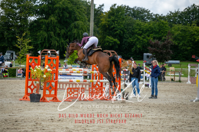 IMG_5744 | Turniersportfotografie; Pferdefotografie; Dressurfotografie