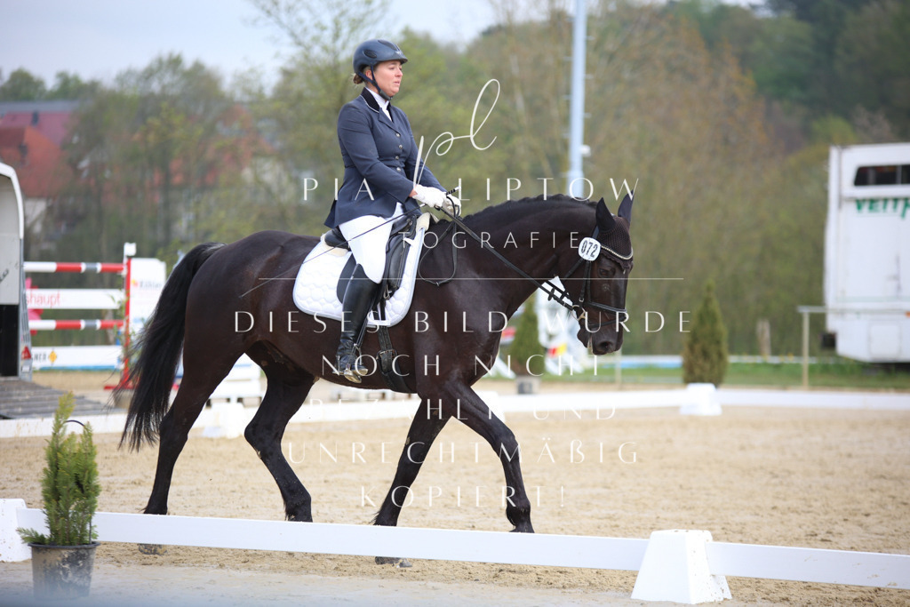 IMGT5724 | pl-fotografie