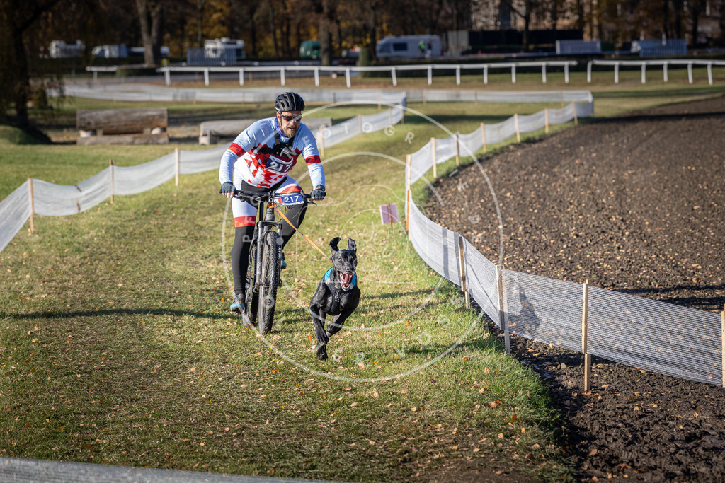 CaniXpix_DV3A3331 | Hundefotografie, Tierfotograf, Pfotenfotografie, Fotoshooting Hund, Hunde Portrait, Hundesport, Hundeportraits, Heideshooting, Hunde, Sportfotograf, Hundefotograf, Turnierhundsport, THS,  - Realisiert mit Pictrs.com