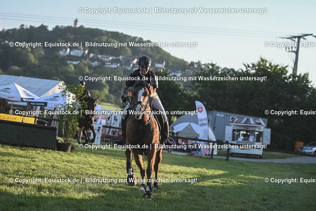 20230909_20_Leonberger-Derby_0212 | equistock