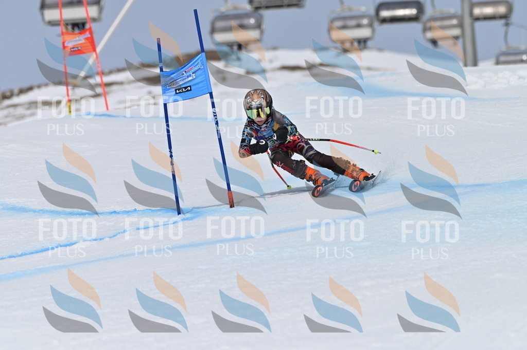 BGV_4551 | holidayphoto