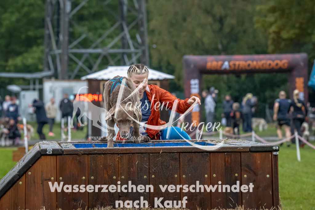 1200--2 | kk-dogfotos