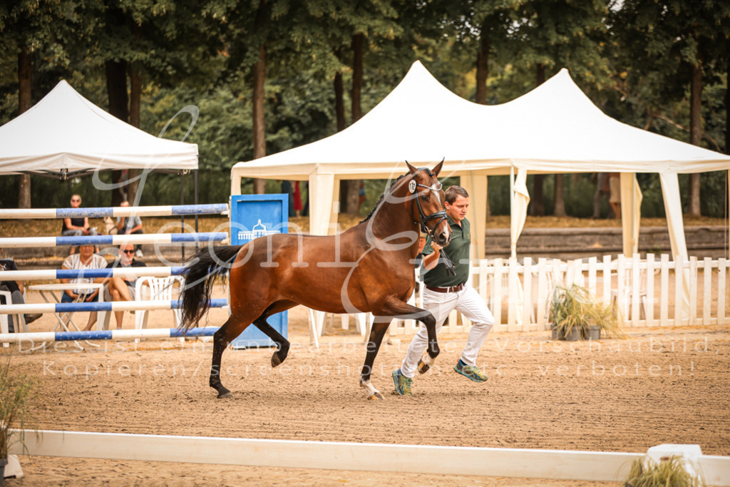 12.So00042 | Leoni Ertmer Photography - Realisiert mit Pictrs.com