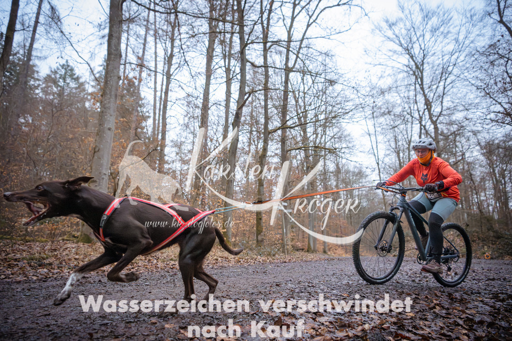 0828_ZZ94607 | kk-dogfotos