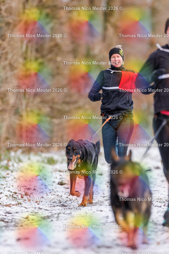 Thomas_Nico_Meuter(C)_223A8532 | Bild von Thomas Nico Meuter - Realisiert mit Pictrs.com