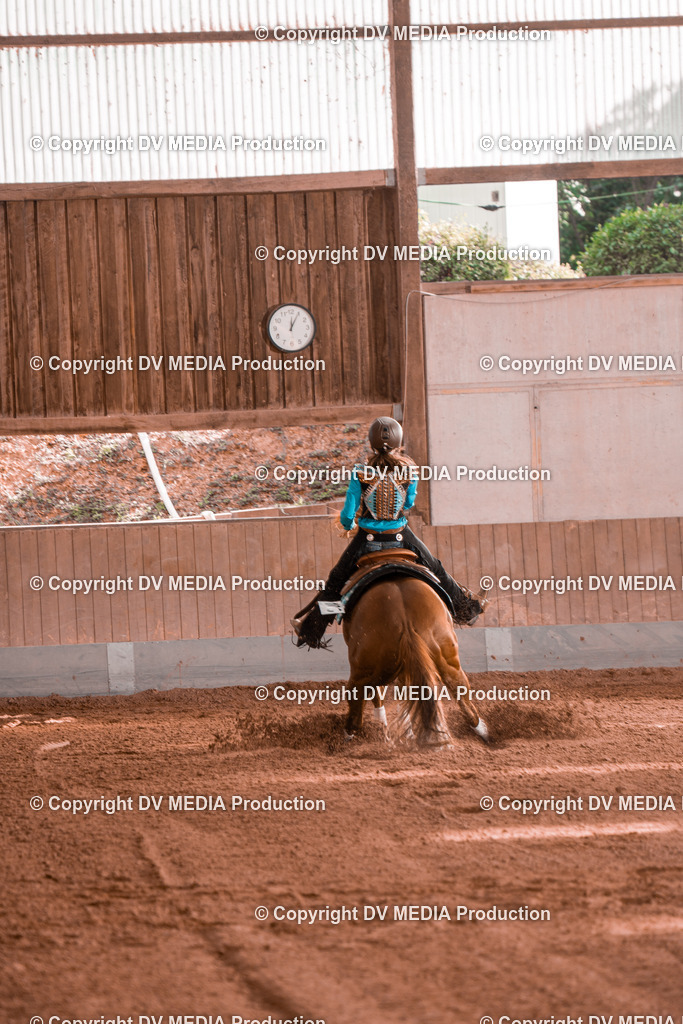 NE201150 | dv-media-shop - Realisiert mit Pictrs.com