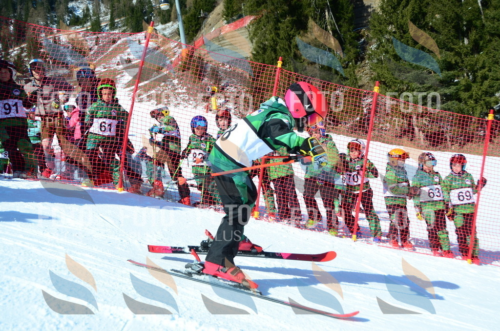 C5145 | holidayphoto