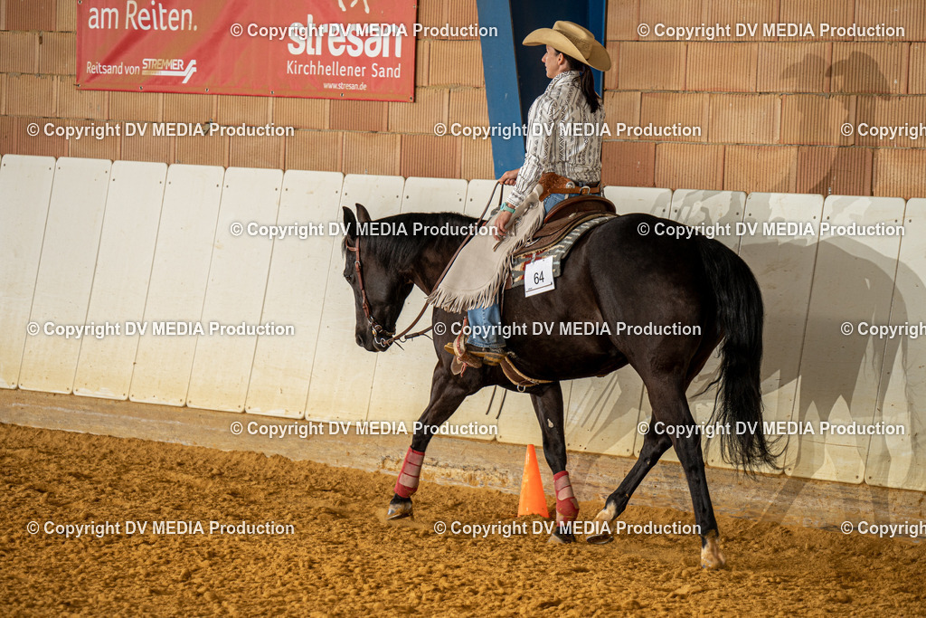 MIT00750 | dv-media-shop - Realisiert mit Pictrs.com