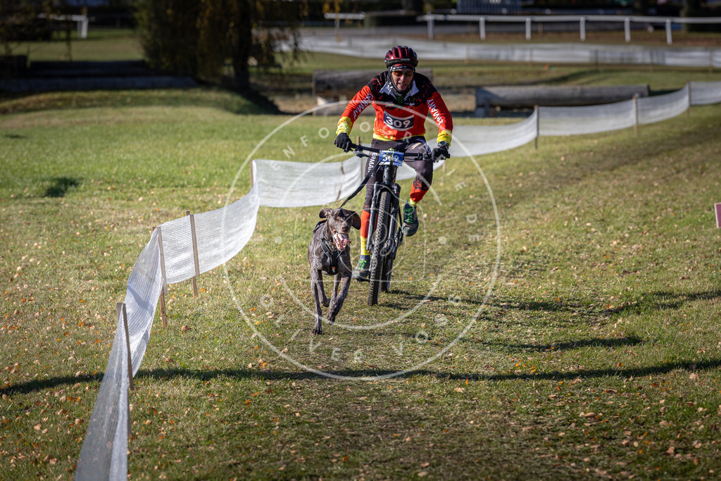 CaniXpix_DV3A6260 | Hundefotografie, Tierfotograf, Pfotenfotografie, Fotoshooting Hund, Hunde Portrait, Hundesport, Hundeportraits, Heideshooting, Hunde, Sportfotograf, Hundefotograf, Turnierhundsport, THS,  - Realisiert mit Pictrs.com