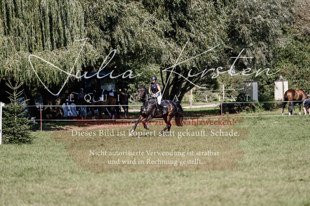 DSC_2903 | Pferde- und Turnierfotografie in Westsachsen. Pferdeportraits, Auftragszeichnungen und intuitive Kunst.