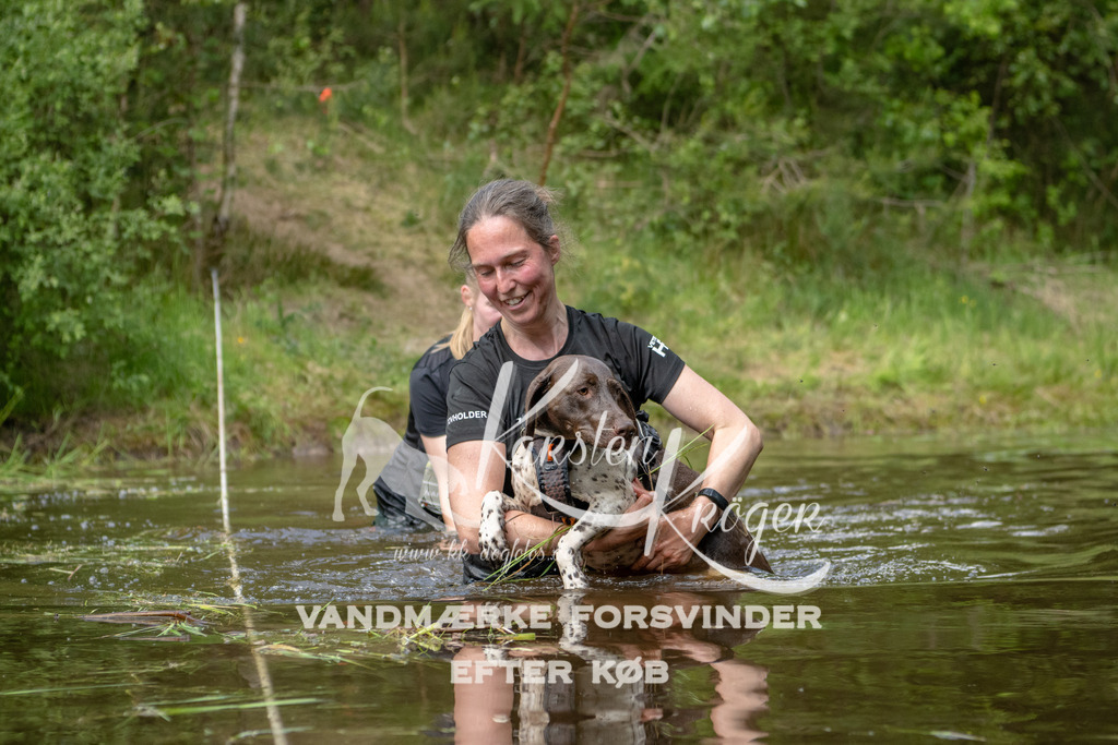 1242DKK993336 | kk-dogfotos