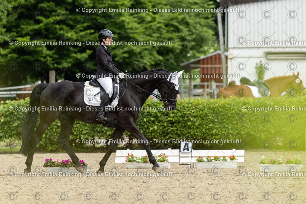 CL5A2313 | Emilia Reinking Fotografie - Realisiert mit Pictrs.com