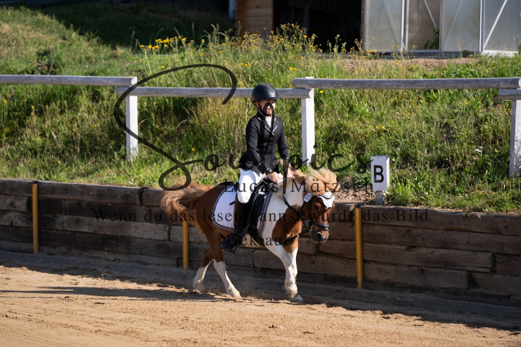 A7V07572 | Pferdefotograf