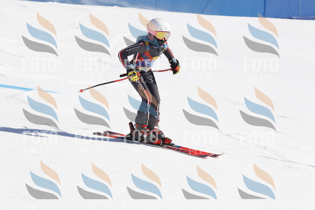 _U3G8595 | holidayphoto