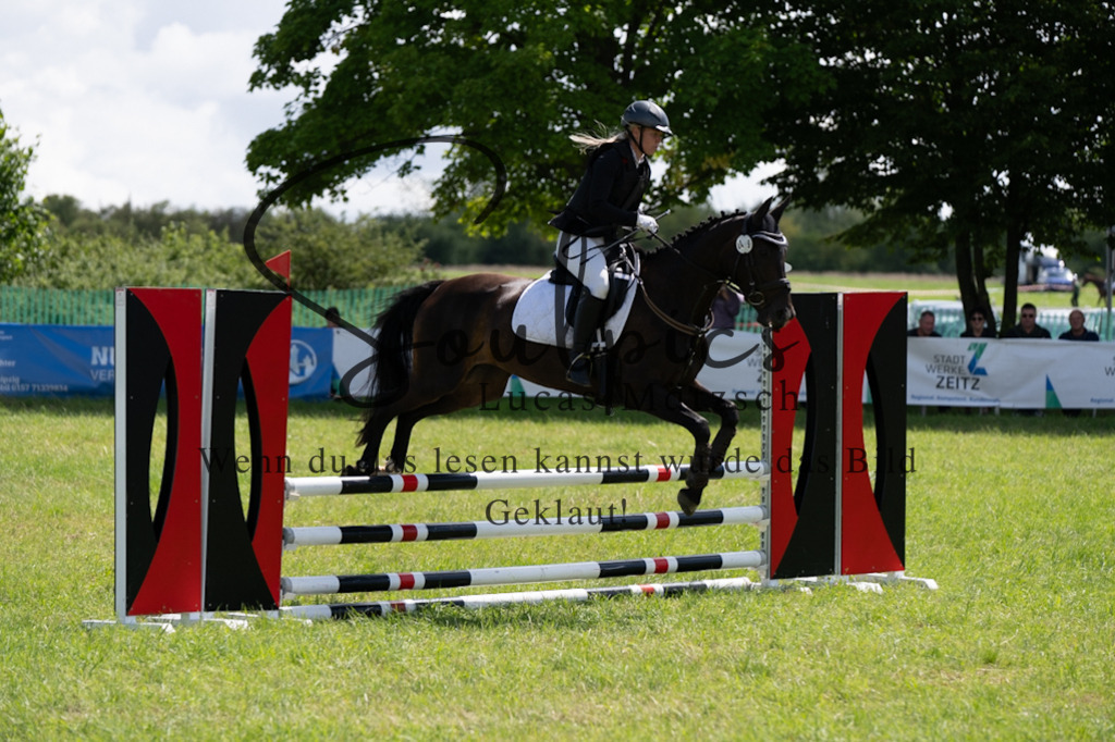 A7V04340 | Pferdefotograf