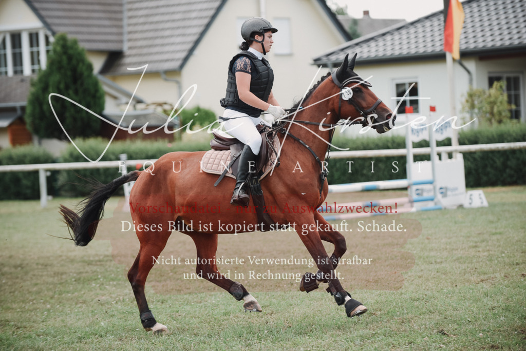 DSC_5715 | Pferde- und Turnierfotografie in Westsachsen. Pferdeportraits, Auftragszeichnungen und intuitive Kunst.