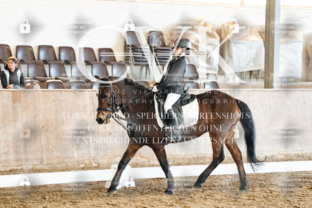 CK900585 | Turnierfotografie Pferdefotografie Trier Rheinland-Pfalz Pferdesport Reitsport Tierfotografie Sportfotografie Pferdevideo Pferdevideografie Equestrianvideography equestrianphotography  - Realized with Pictrs.com