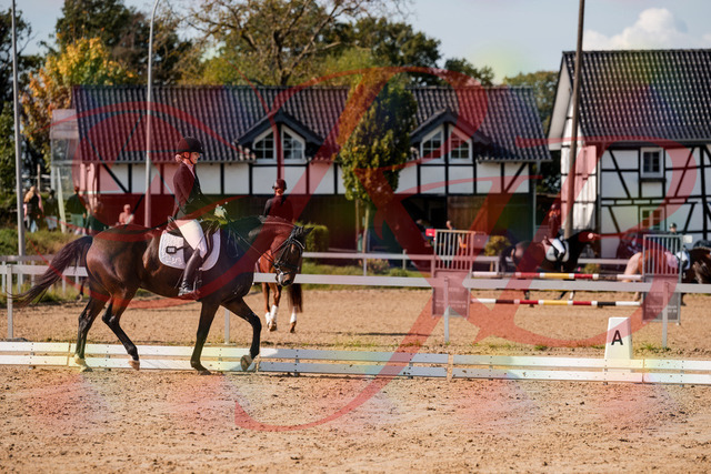 2026_10_03_Siefer-Hof_125532_Z63_61898389 | Professionelle Reitsport-, Turnier- und Eventfotografie von Robert Broda. Galerien mit ausgewählten und bearbeiteten Bildern direkt online ansehen und bestellen.