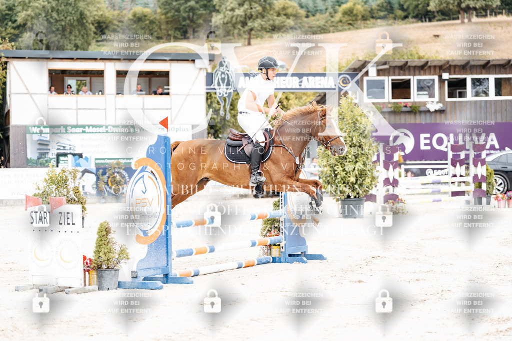 CK907766 | Turnierfotografie Pferdefotografie Trier Rheinland-Pfalz Pferdesport Reitsport Tierfotografie Sportfotografie Pferdevideo Pferdevideografie Equestrianvideography equestrianphotography  - Realisiert mit Pictrs.com
