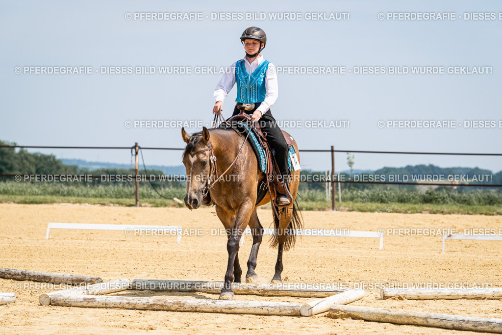 DSC00930 | Pferdegrafie